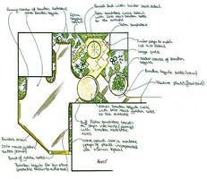 Sample garden plans